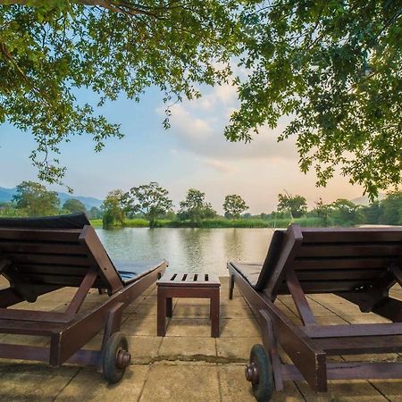 Mps Village Dambulla Dış mekan fotoğraf