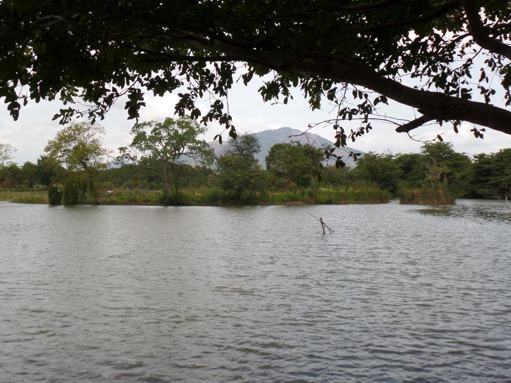 Mps Village Dambulla Dış mekan fotoğraf