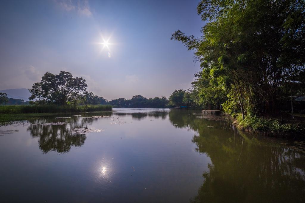Mps Village Dambulla Dış mekan fotoğraf