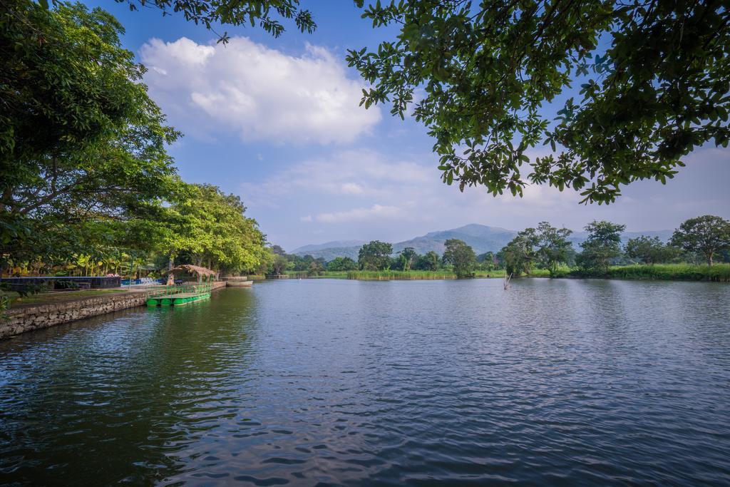 Mps Village Dambulla Dış mekan fotoğraf