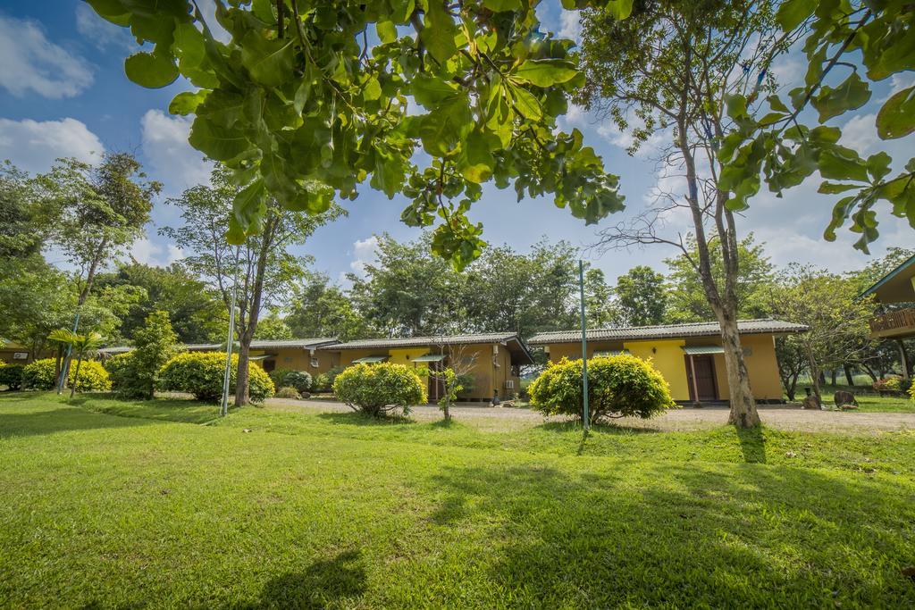 Mps Village Dambulla Dış mekan fotoğraf