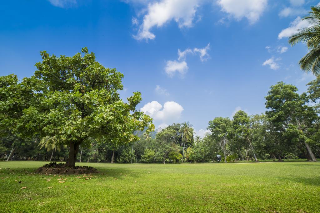 Mps Village Dambulla Dış mekan fotoğraf