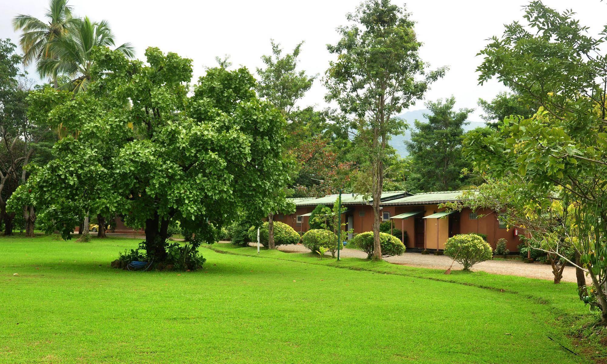 Mps Village Dambulla Dış mekan fotoğraf